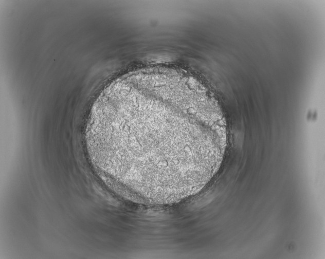 X0000091101393200709041313