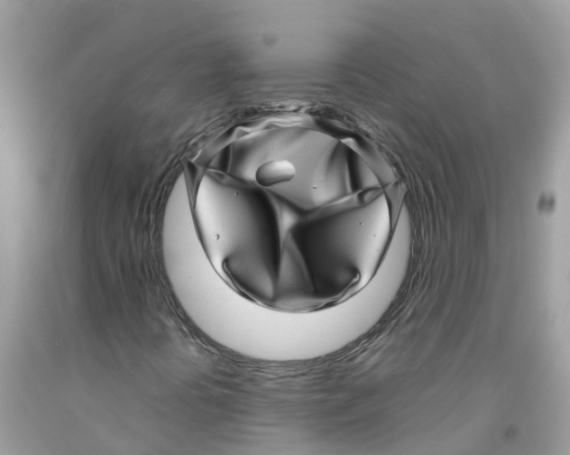 X0000091101394200709041313