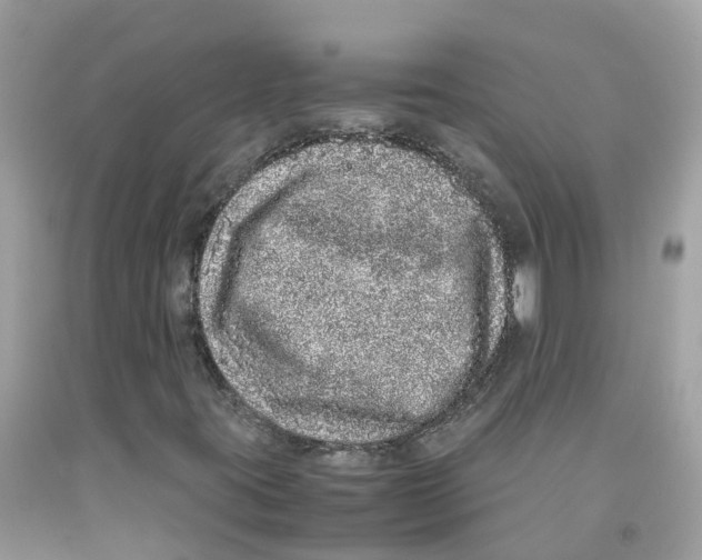 X0000091101395200709041313