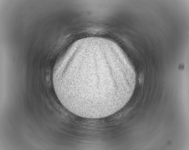 X0000091101396200709041313