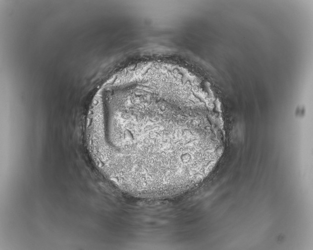 X0000091101397200709041313