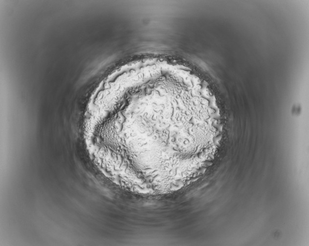 X0000091101399200709041313