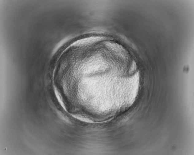 X0000091101400200709041313