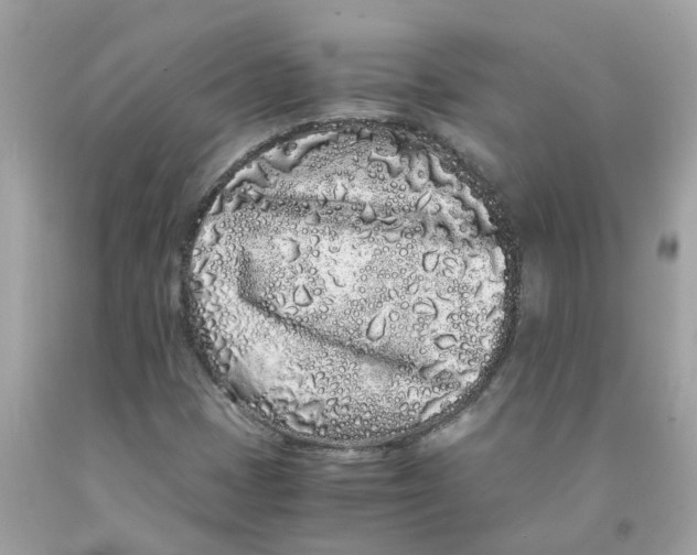 X0000091101401200709041313