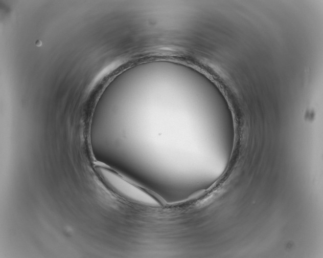 X0000091101402200709041313