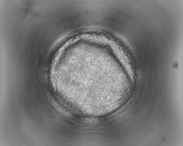 X0000091101403200709041313