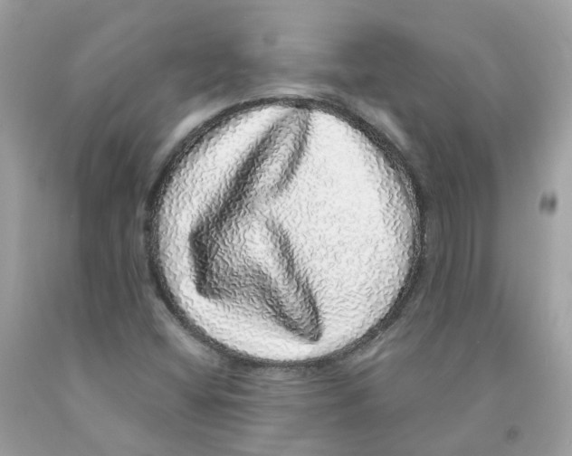 X0000091101404200709041313