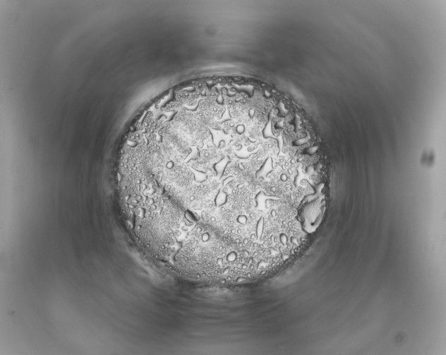 X0000091101405200709041313