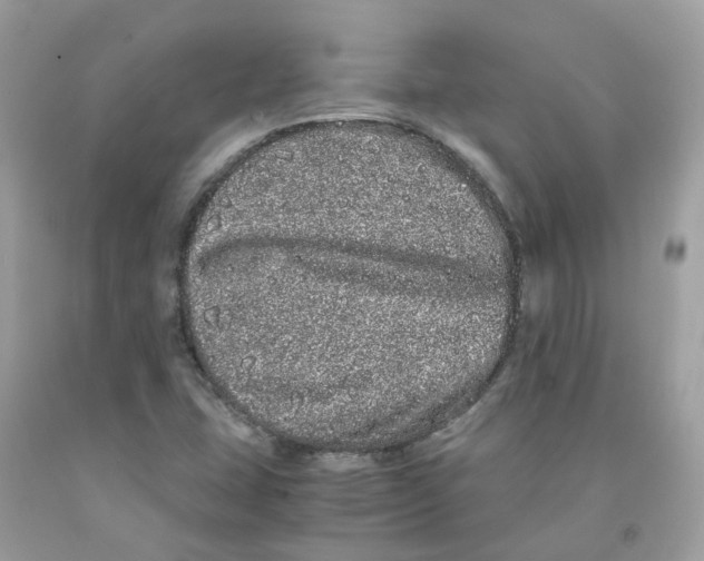 X0000091101407200709041314