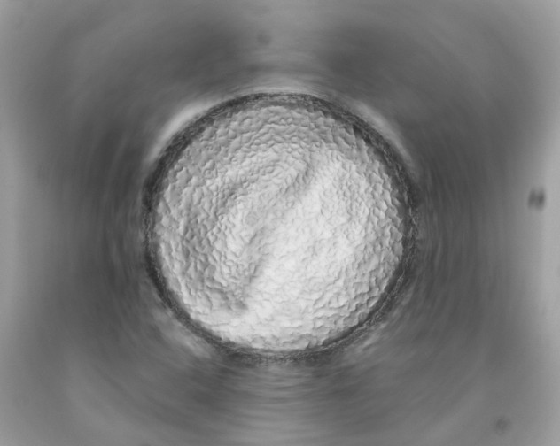 X0000091101408200709041314