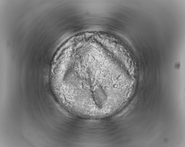 X0000091101409200709041314