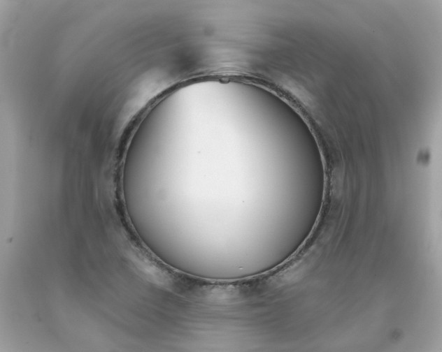 X0000091101410200709041314