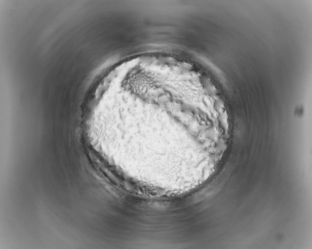 X0000091101411200709041314