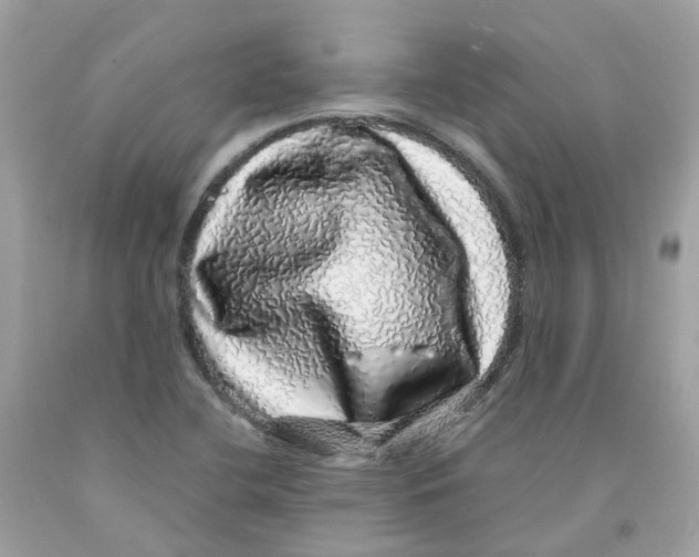 X0000091101412200709041314