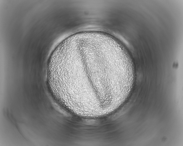 X0000091101413200709041314