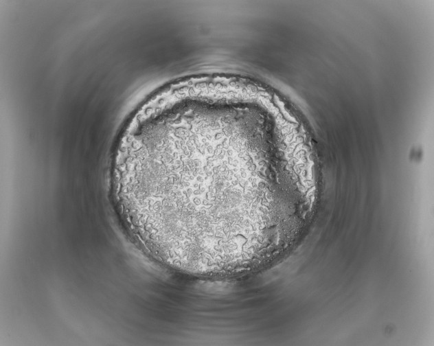 X0000091101415200709041314