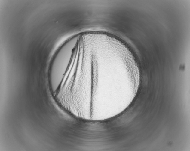 X0000091101416200709041314