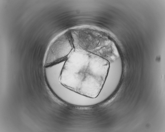 X0000091101417200709041314