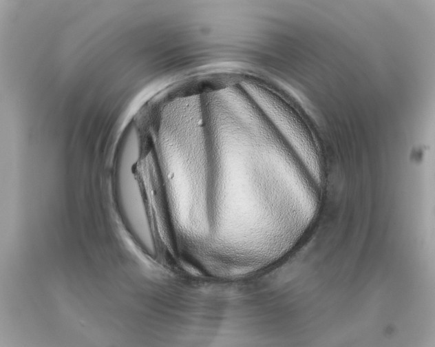 X0000091101418200709041314