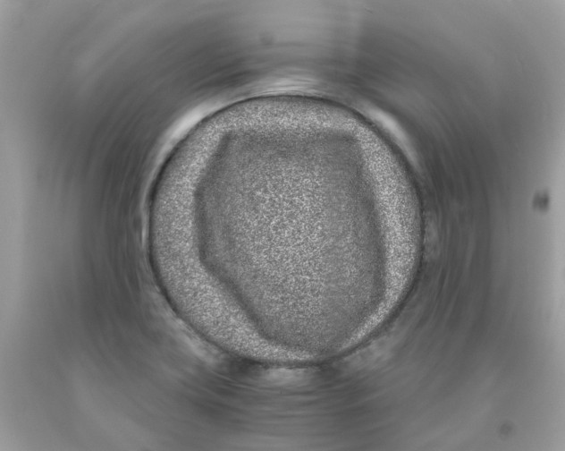 X0000091101419200709041314