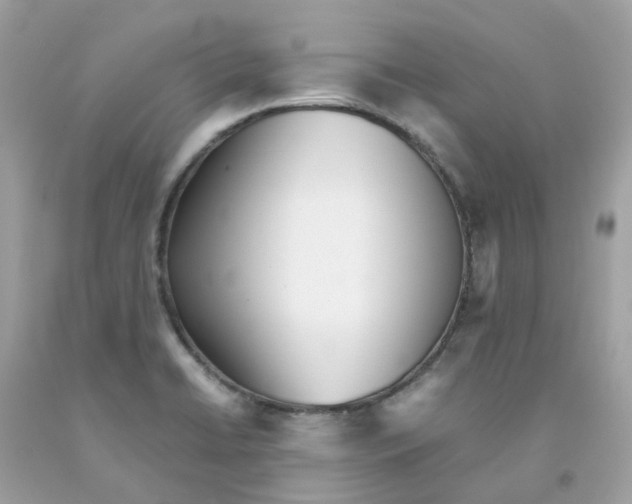 X0000091101422200709041314