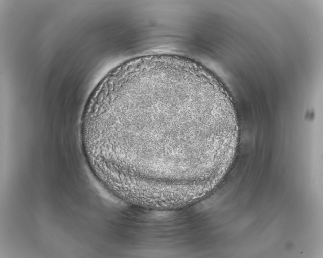 X0000091101423200709041314