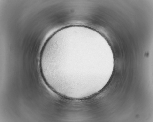 X0000091101424200709041314