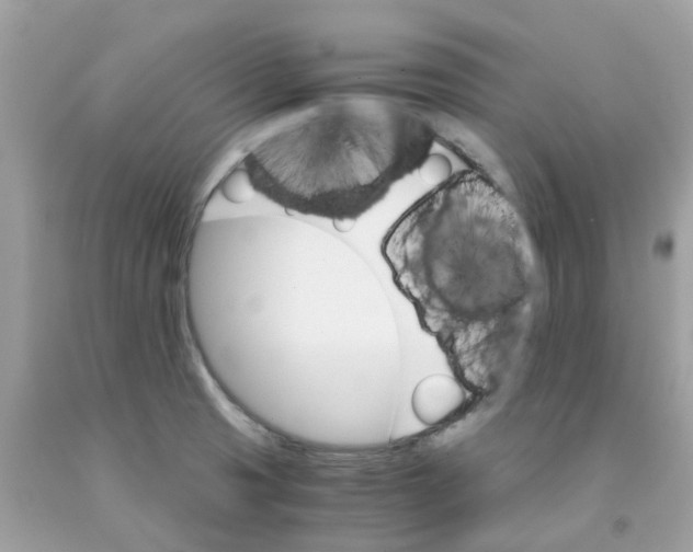 X0000091101425200709041314