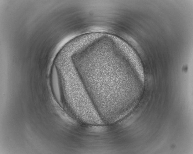 X0000091101427200709041314