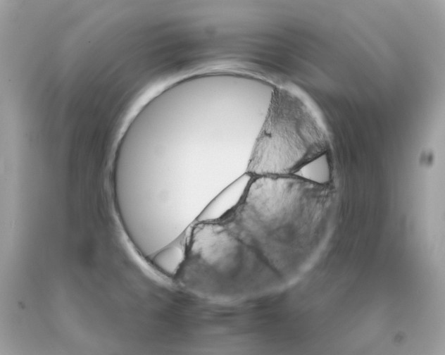 X0000091101429200709041314