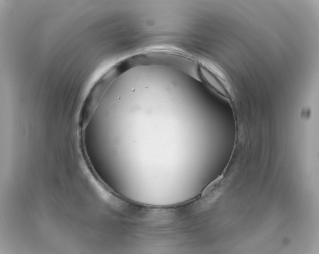 X0000091101430200709041314