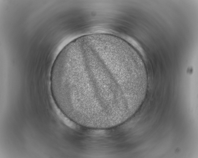 X0000091101431200709041314