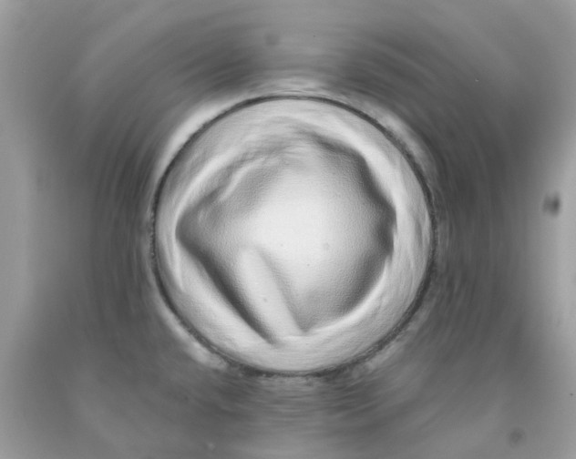 X0000091101432200709041314