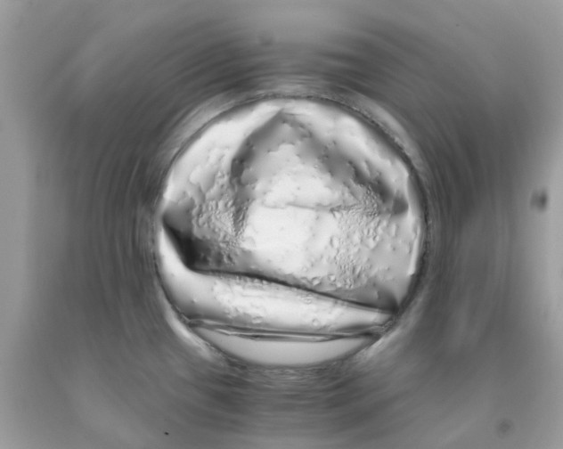 X0000091101433200709041314