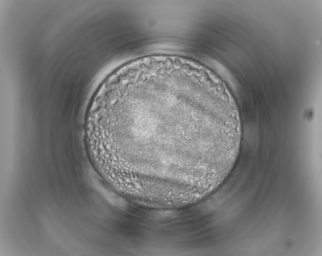 X0000091101435200709041314