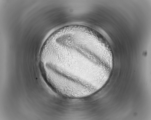 X0000091101436200709041314