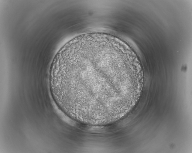 X0000091101439200709041314