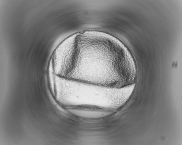 X0000091101440200709041314