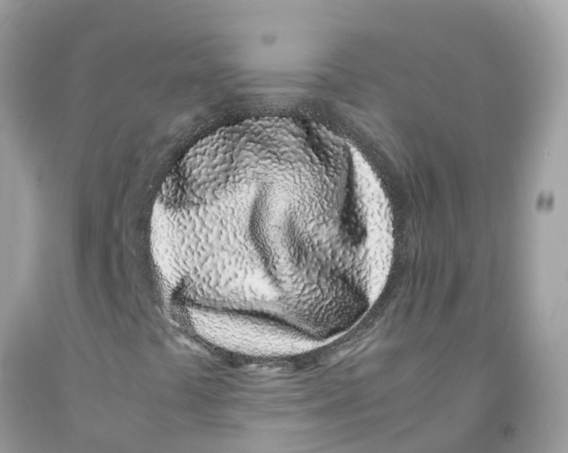 X0000091101441200709041313