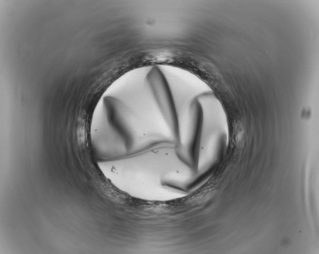 X0000091101442200709041313