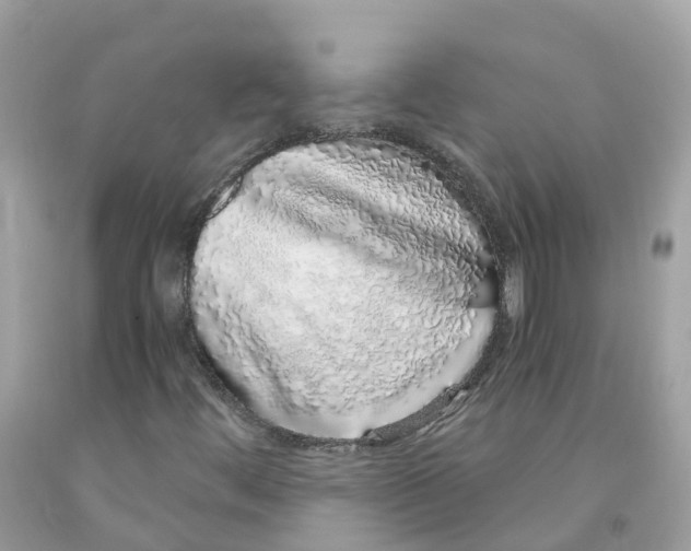 X0000091101444200709041313