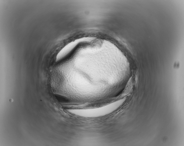 X0000091101445200709041313