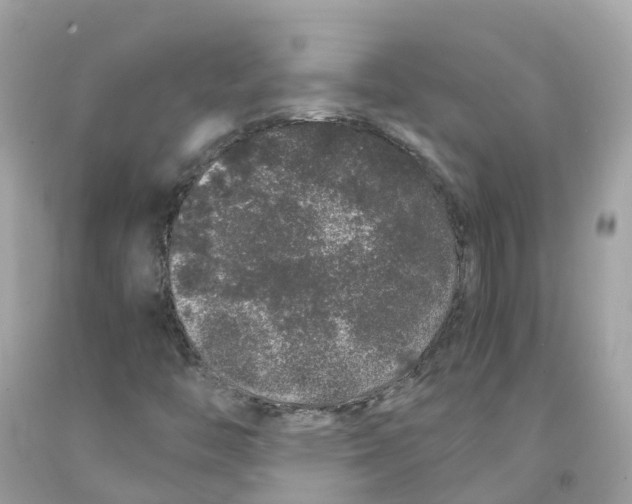 X0000091101446200709041313