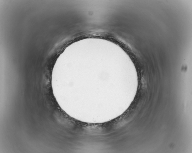 X0000091101447200709041313