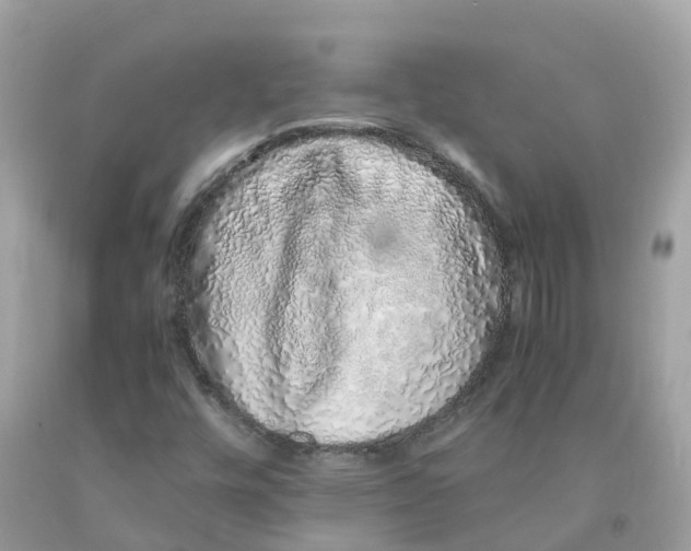 X0000091101448200709041313