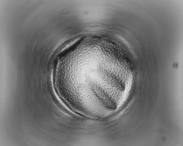 X0000091101449200709041313