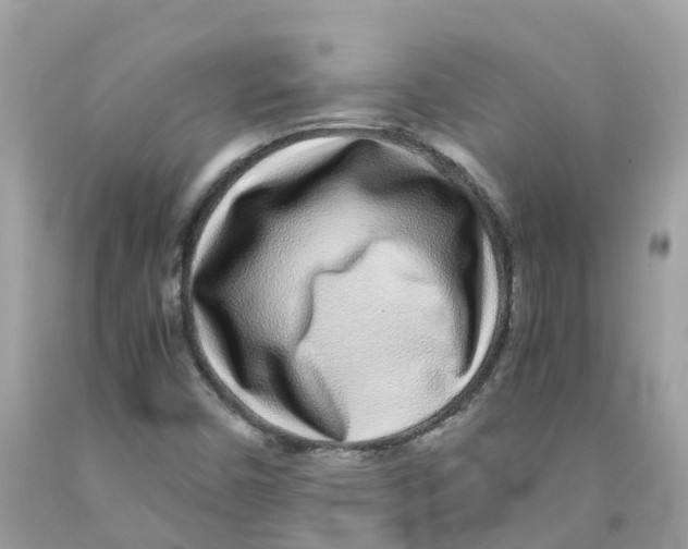 X0000091101450200709041313