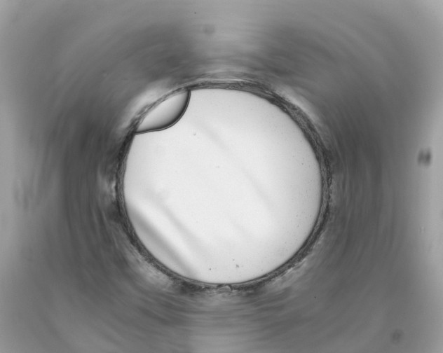 X0000091101451200709041313