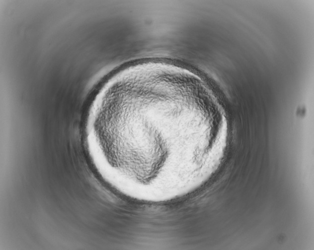 X0000091101452200709041313