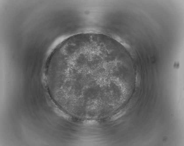 X0000091101454200709041313